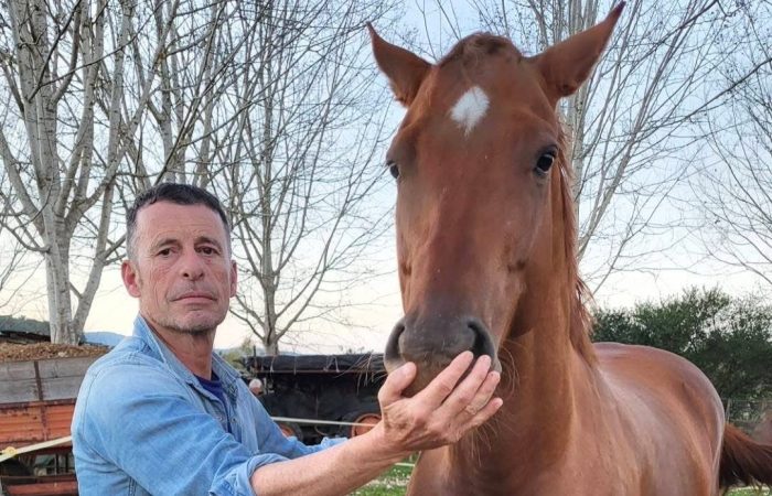 Palio di Siena, il cavallo Compilation va in pensione