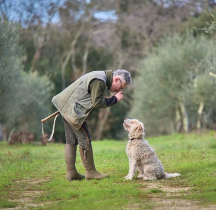 Tartufo bianco, prime indicazioni positive: San Giovanni d&rsquo;Asso prepara la 40&ordf; Mostra Mercato