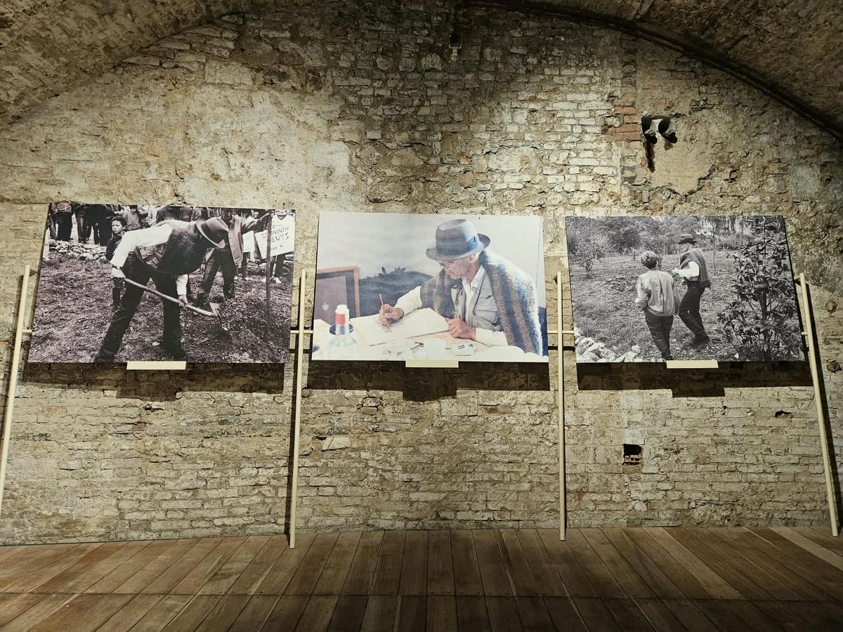 cs mostra beuys inaugurazione