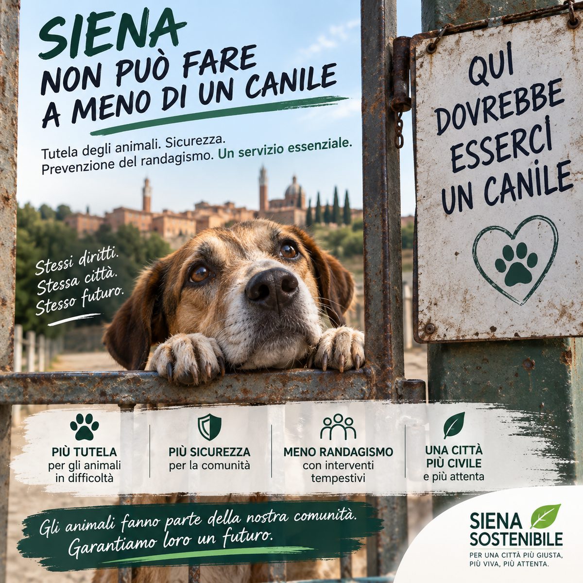 Associazione Siena Sostenibile comunicato stampa sul randagismo