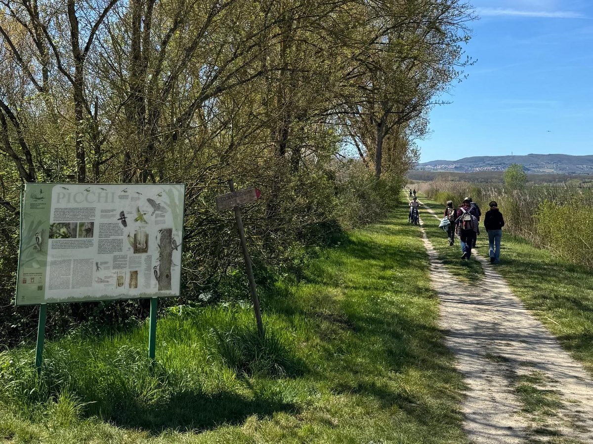 Lago di Montepulciano, aperte le iscrizioni per un corso di formazione gratuito…
