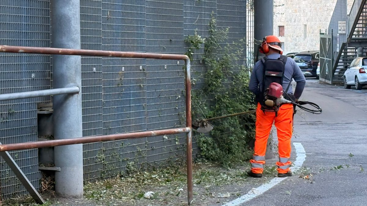 cs manutenzione stadio