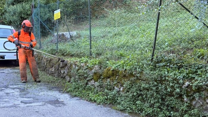 Aree verdi dello stadio &ldquo;Artemio Franchi&rdquo;, Comune di Siena al lavoro