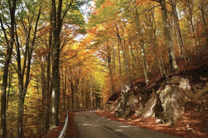 Autunno sull&rsquo;Amiata, otto Comuni insieme per un unico calendario di eventi