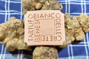 Tartufo delle Crete Senesi: approvato il nuovo disciplinare per tutelare qualit&agrave;, territorio e identit&agrave;