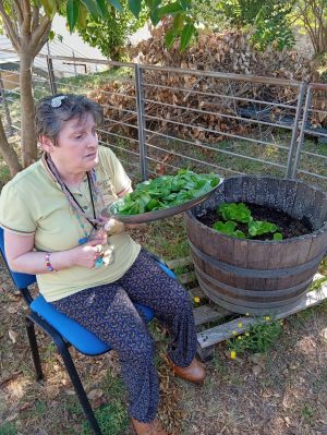 Sociale: a Montalcino il pesto prodotto in Rsa dagli anziani contadini