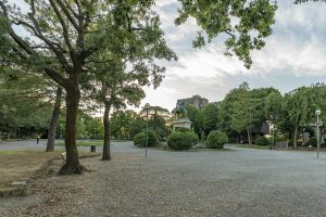 "Delirium: Zenith Summer Park", a Siena il festival dei giovani per i giovani