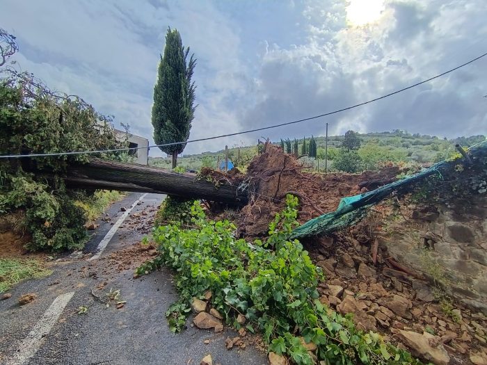 Tromba d&rsquo;aria a Sinalunga, muore una donna nella propria abitazione