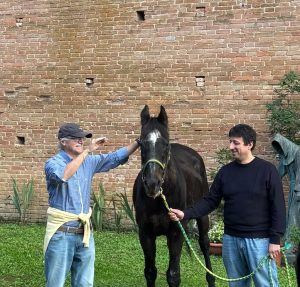 Palio, Berio torna a casa: il Bruco riabbraccia il suo cavallo vittorioso