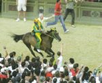Palio, Berio torna nel Bruco: la contrada riabbraccia il cavallo vittorioso