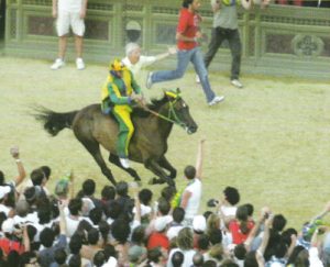 Palio, Berio torna nel Bruco: la contrada riabbraccia il cavallo vittorioso