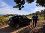 Monteriggioni, spaccio nei boschi di Bracciano: i Carabinieri arrestano un 22enne