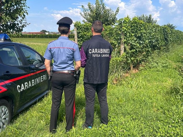 Caporalato, controlli dei Carabinieri in provincia di Siena: 9 aziende ispezionate, 4 irregolari