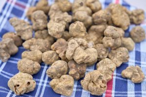 San Giovanni d&rsquo;Asso celebra 40 anni di Tartufo Bianco con il connubio tra la Mostra Mercato e la grande cucina stellata