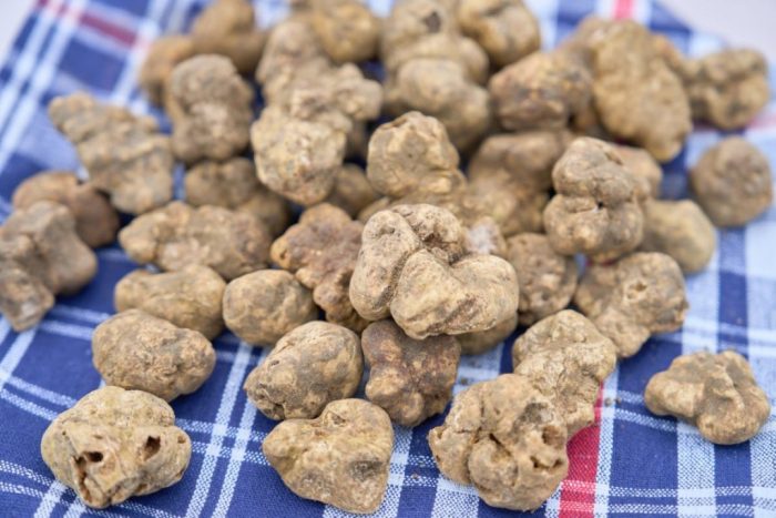 San Giovanni d&rsquo;Asso celebra 40 anni di Tartufo Bianco con il connubio tra la Mostra Mercato e la grande cucina stellata