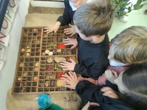 Sovicille, nella scuola Peruzzi nasce un nuovo bosco didattico realizzato da Unicoop Firenze