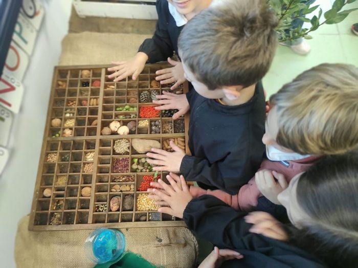 Sovicille, nella scuola Peruzzi nasce un nuovo bosco didattico realizzato da Unicoop Firenze