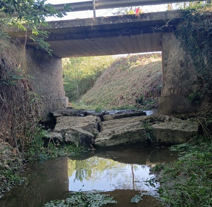 Pieve a Bozzone, intervento sul torrente Bolgione per migliorare il deflusso delle acque