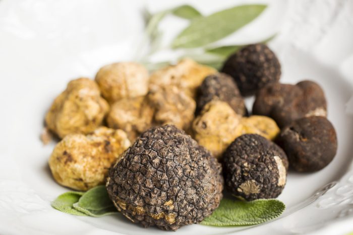Tartufi e funghi, cambiano le modalit&agrave; di pagamento: stop ai bollettini postali