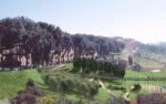 Siena, 700mila euro per la valle di Ravacciano e il bosco di Busseto: via libera dalla Giunta al progetto
