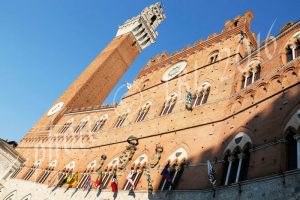 Palio: elezioni per Civetta, Drago e Giraffa